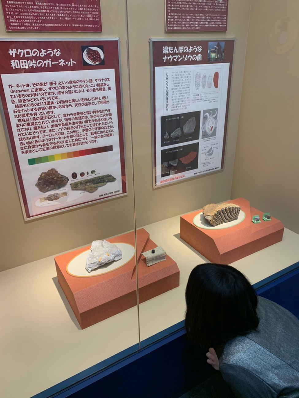 黒耀石体験ミュージアムの画像
