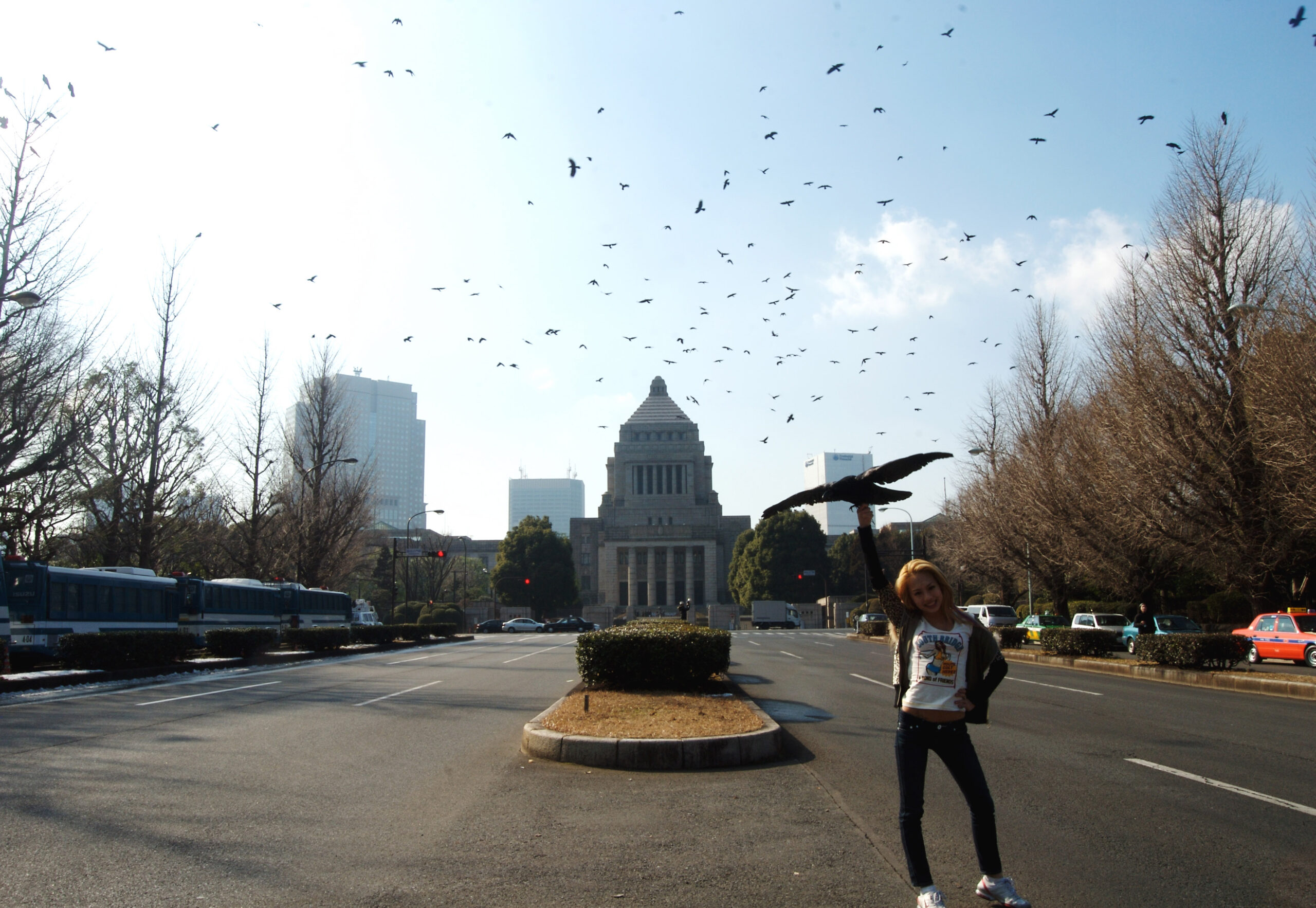 Chim↑Pom《BLACK OF DEATH (above the Diet Building, Nagatacho, Tokyo)》