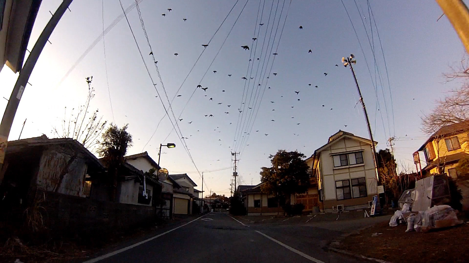 Chim↑Pom《BLACK OF DEATH 2013》