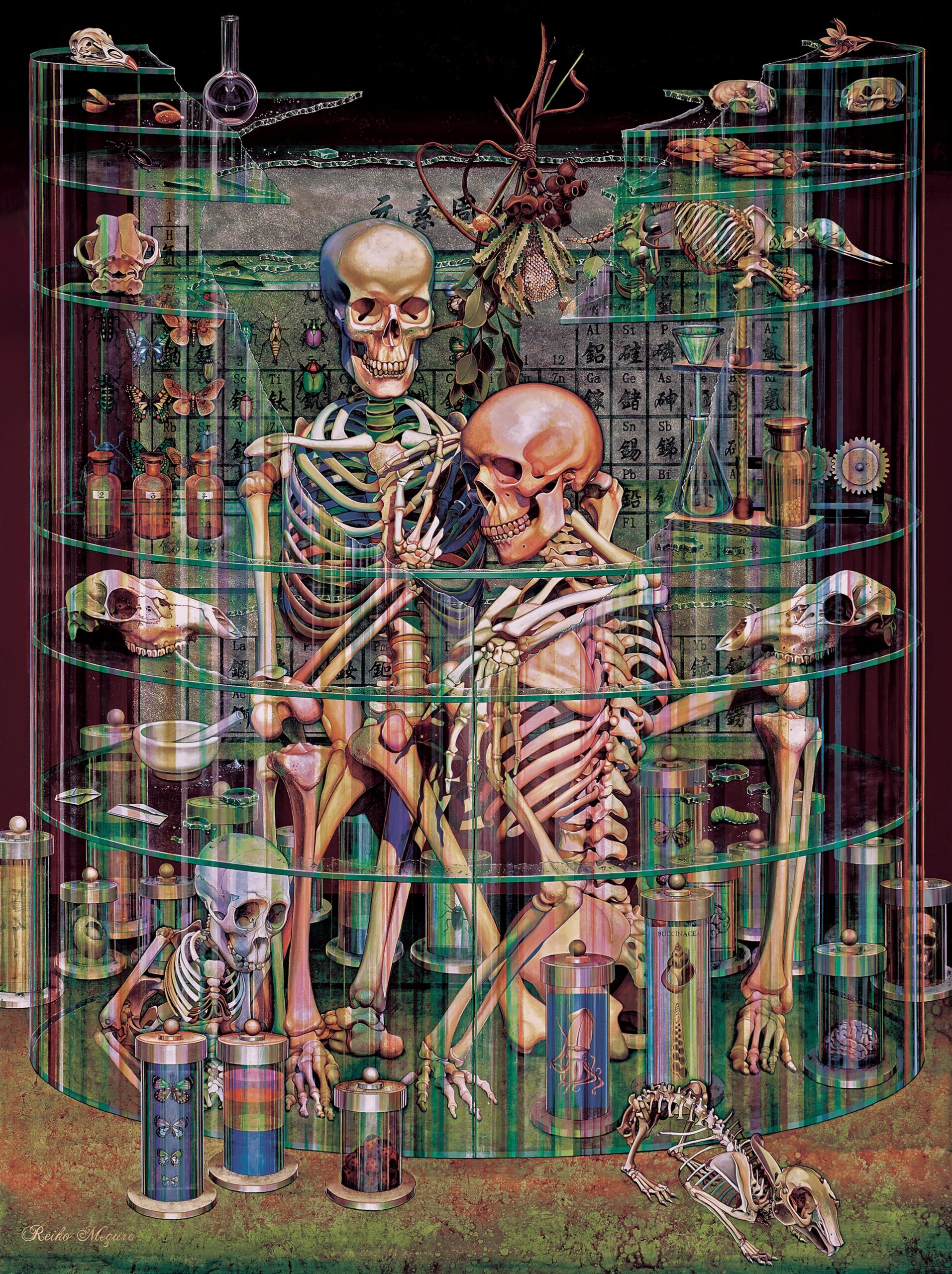 《聖域》