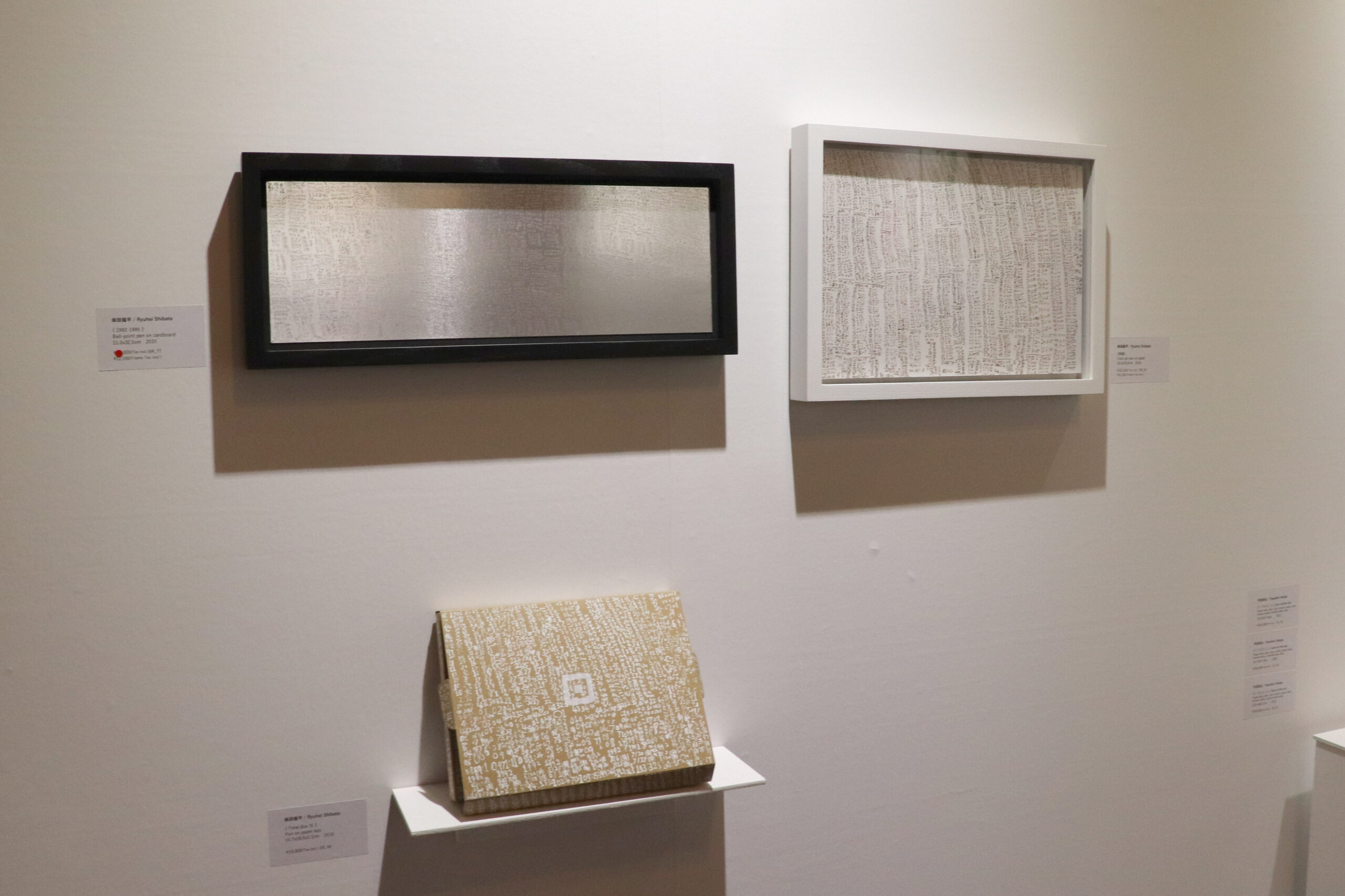 柴田龍平の作品