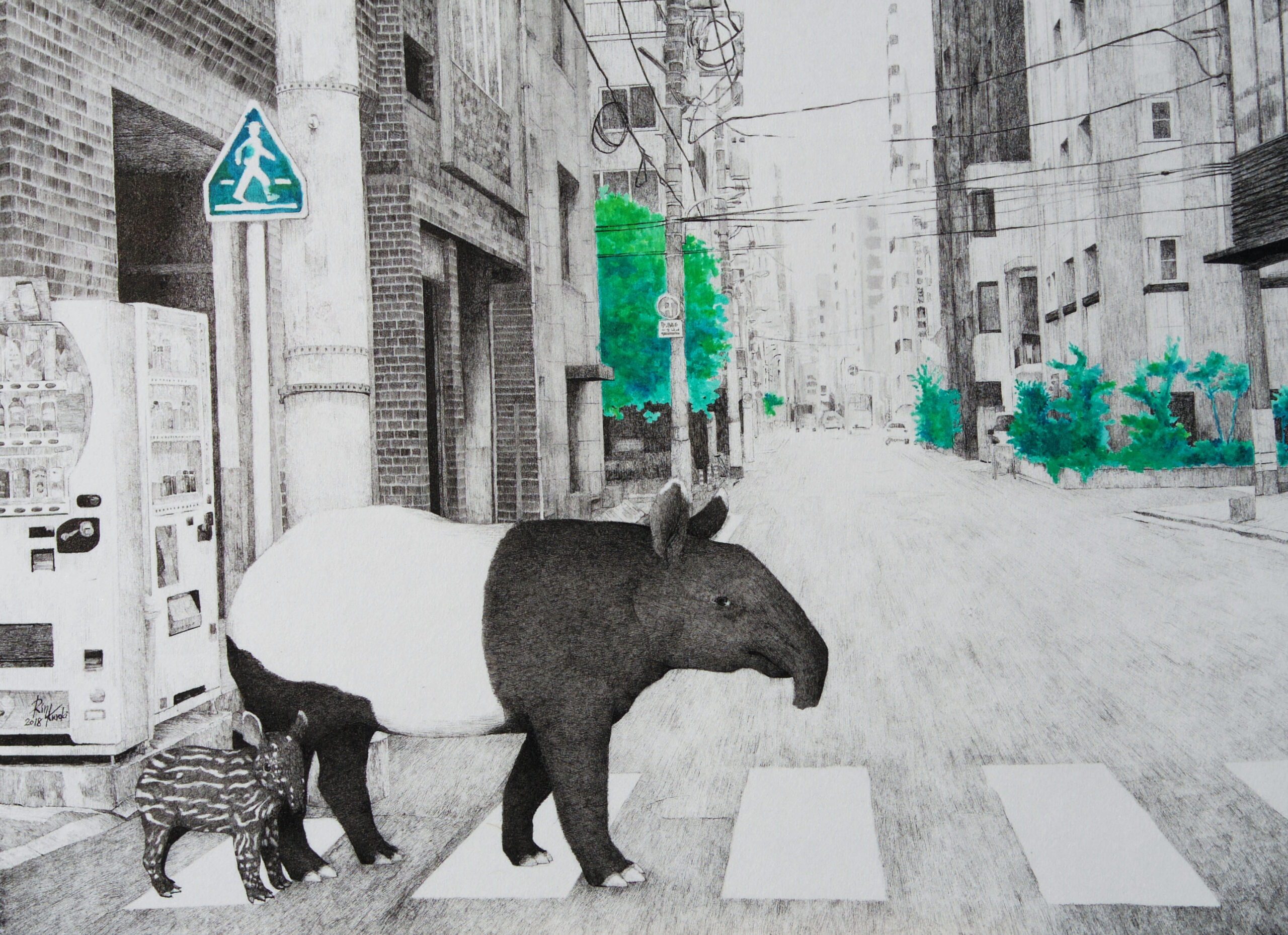 《HAZAMA-17 Malayan tapir》