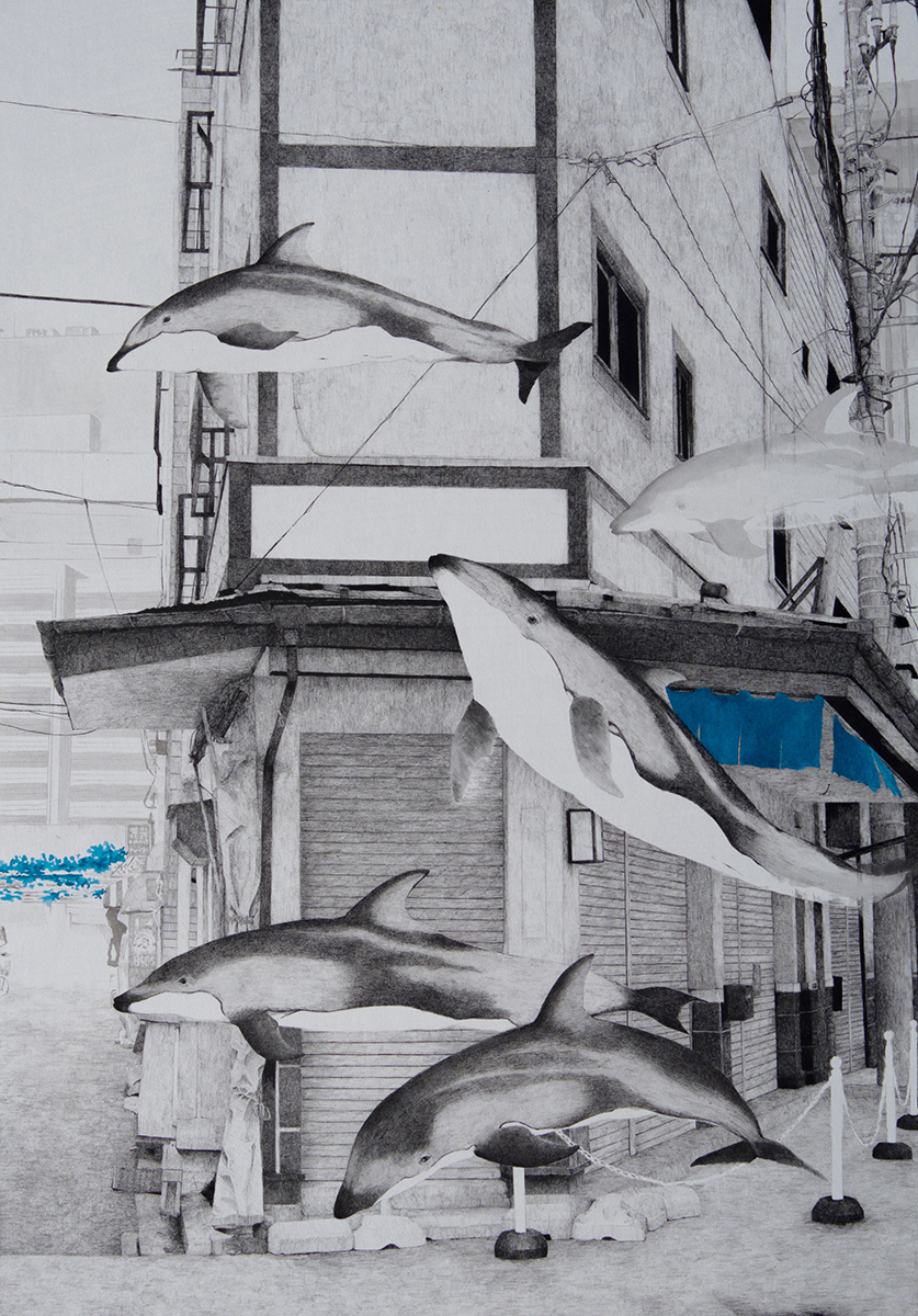 《HAZAMA-45 Pacific white-Sided dolphin》