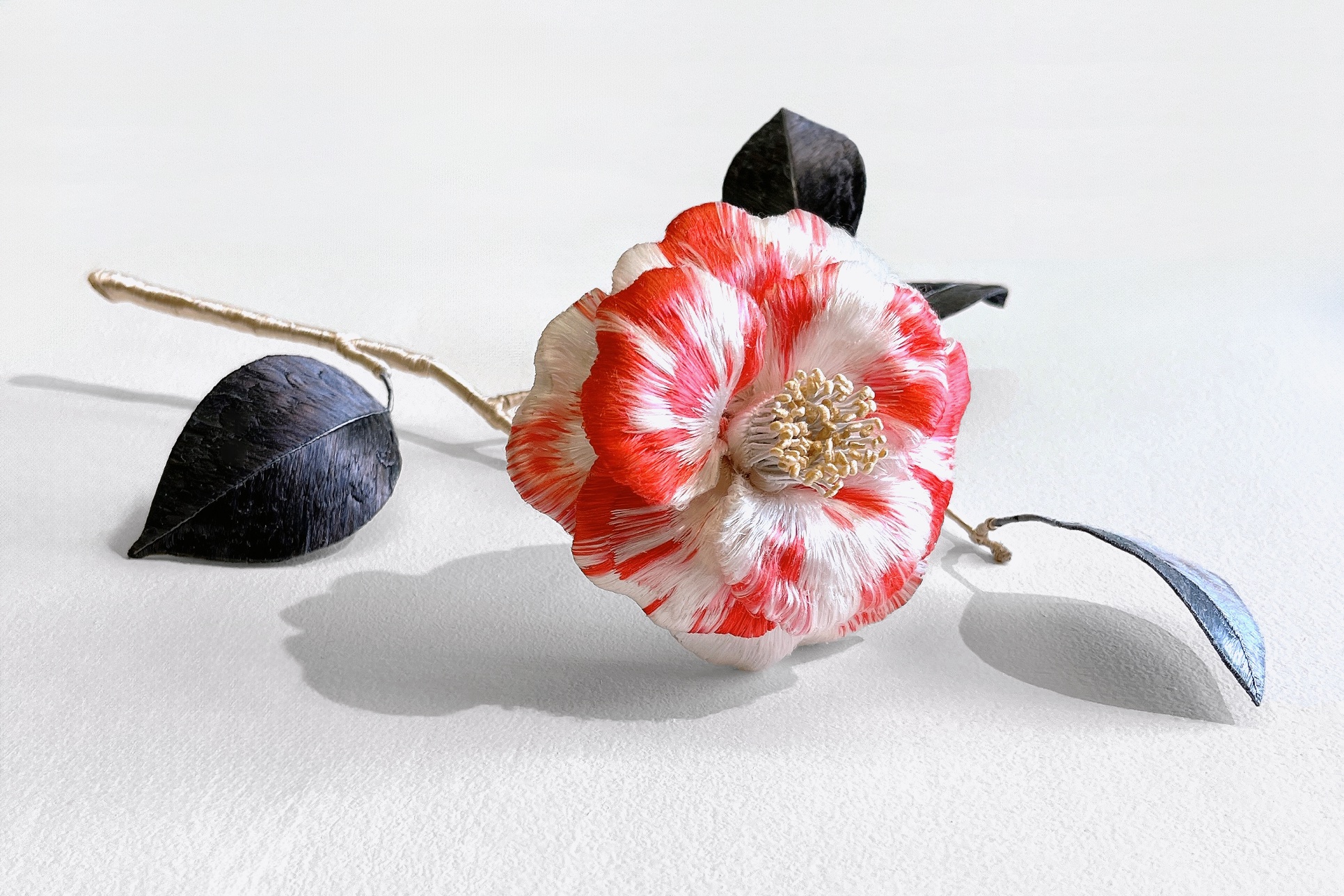 家長百加《Transform -一朶-》