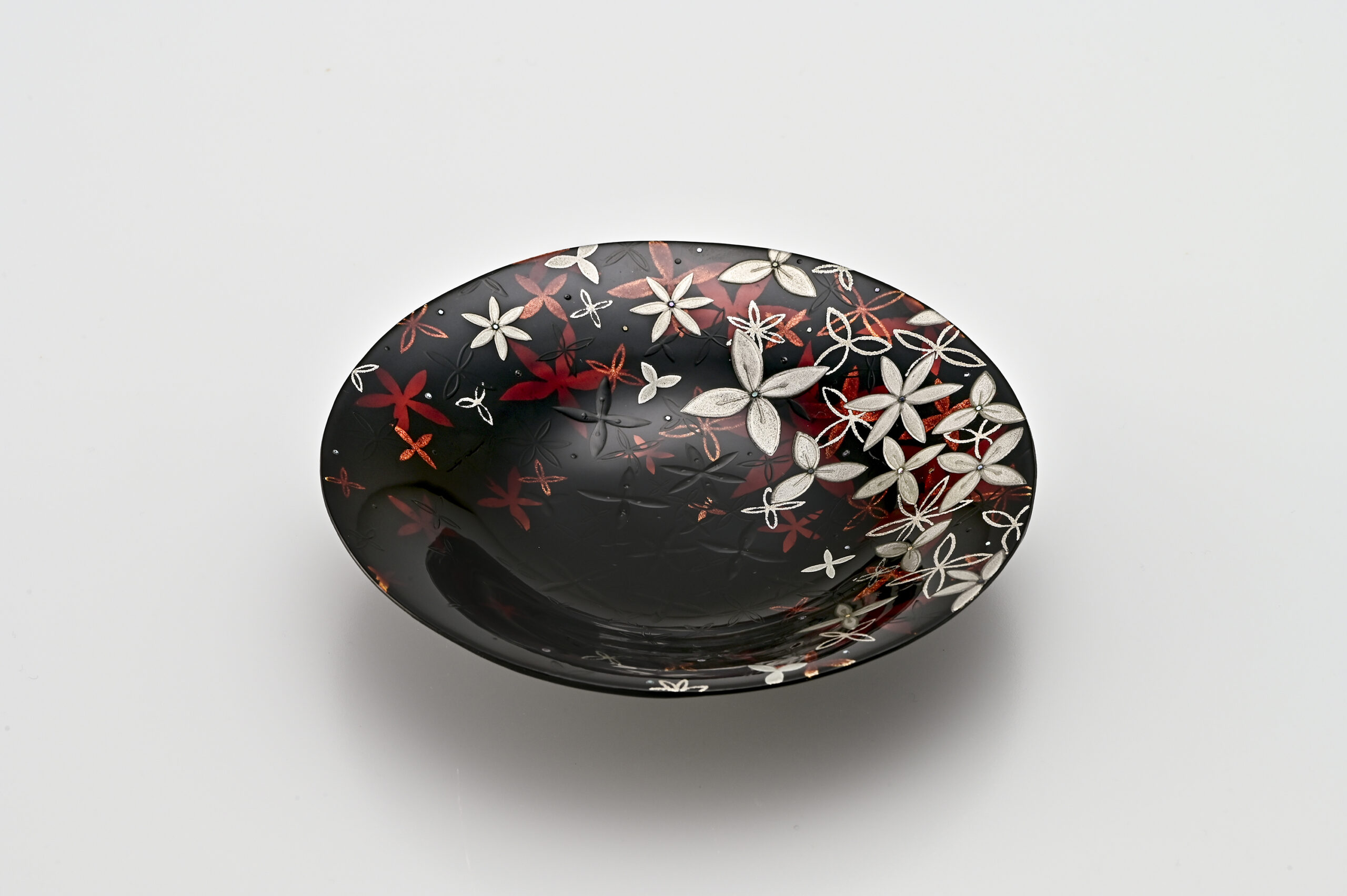 藤原 愛《かがみばな》