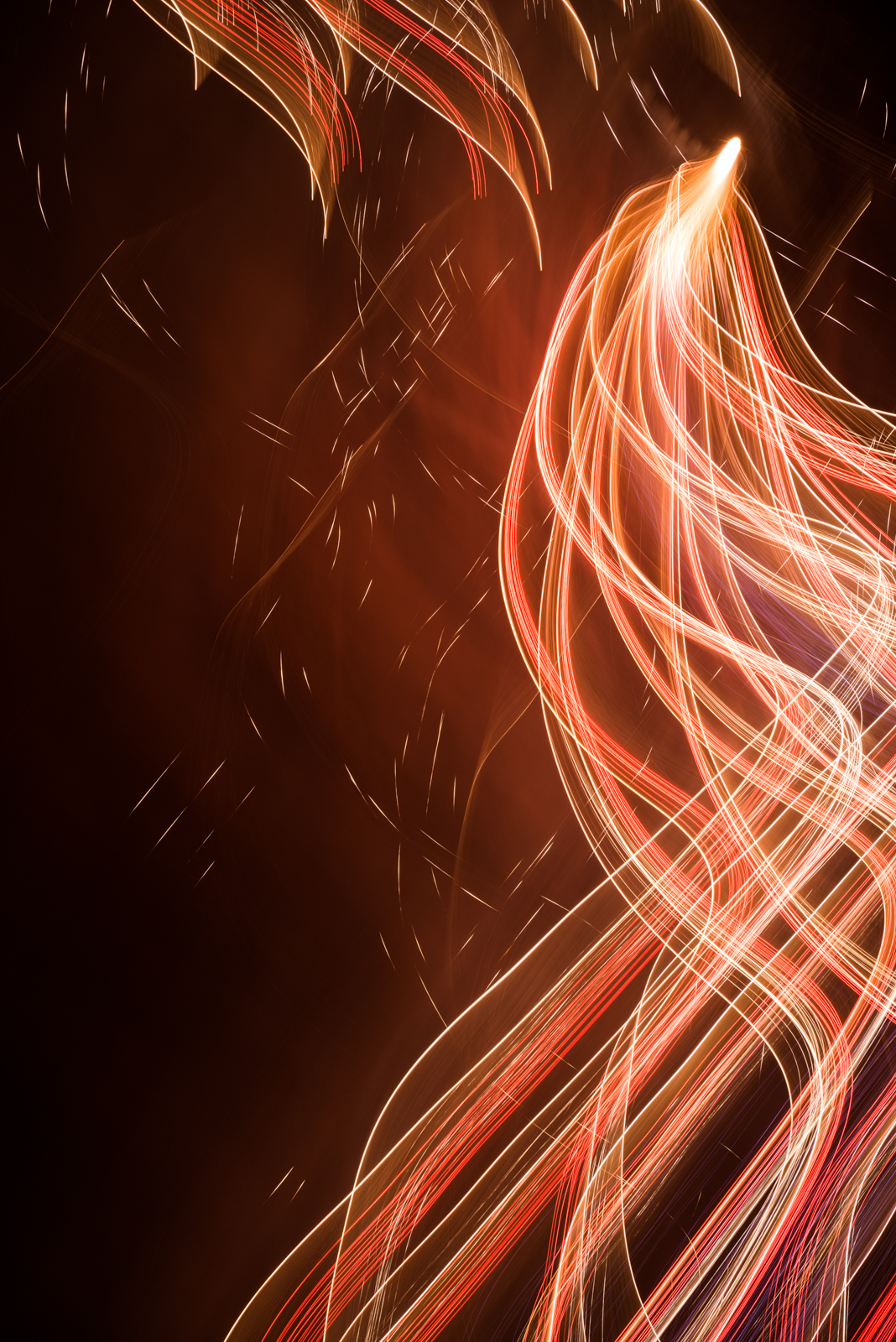 長瀬正太《火の鳥#2》