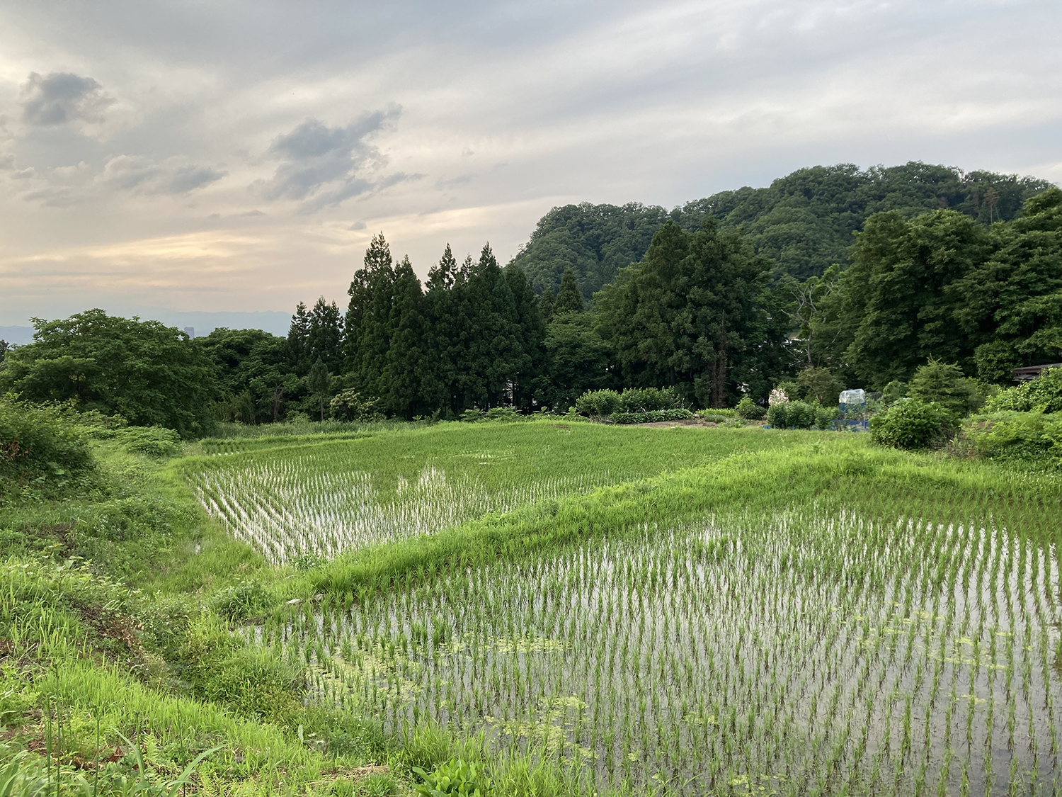 東北芸術工科大学周辺の様子
