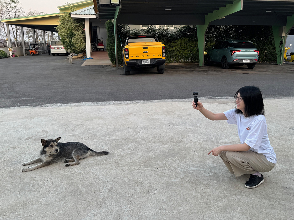 犬と戯れる小松美羽