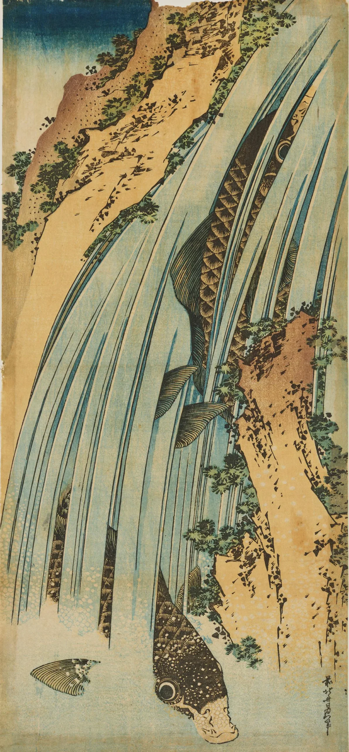 葛飾北斎《鯉の滝登り》江戸時代・19世紀　長大判 錦絵　49.9×23.2cm　東京国立博物館　出典：Colbase（https://colbase.nich.go.jp/）