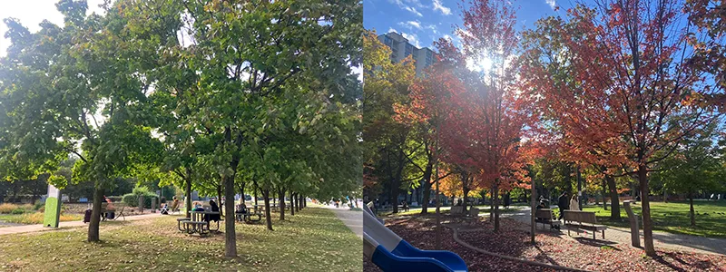 ある日のカナダの風景 / 何でもない道にもそこかしこに椅子が置かれている