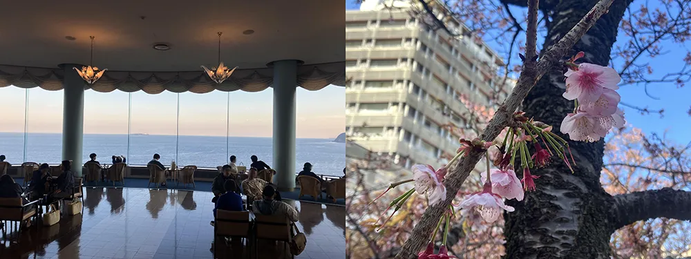 熱海。海の眺めと早咲きの桜