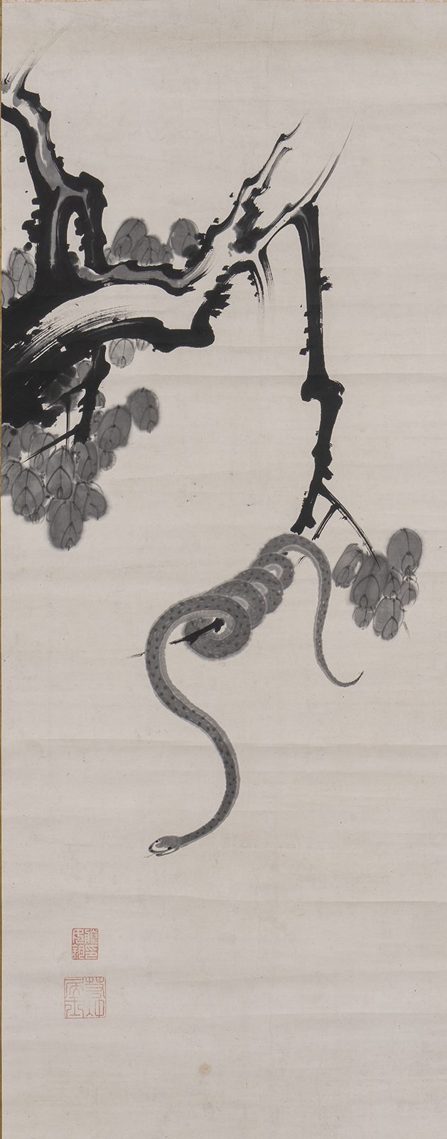 伊藤若冲《蛇図》画像