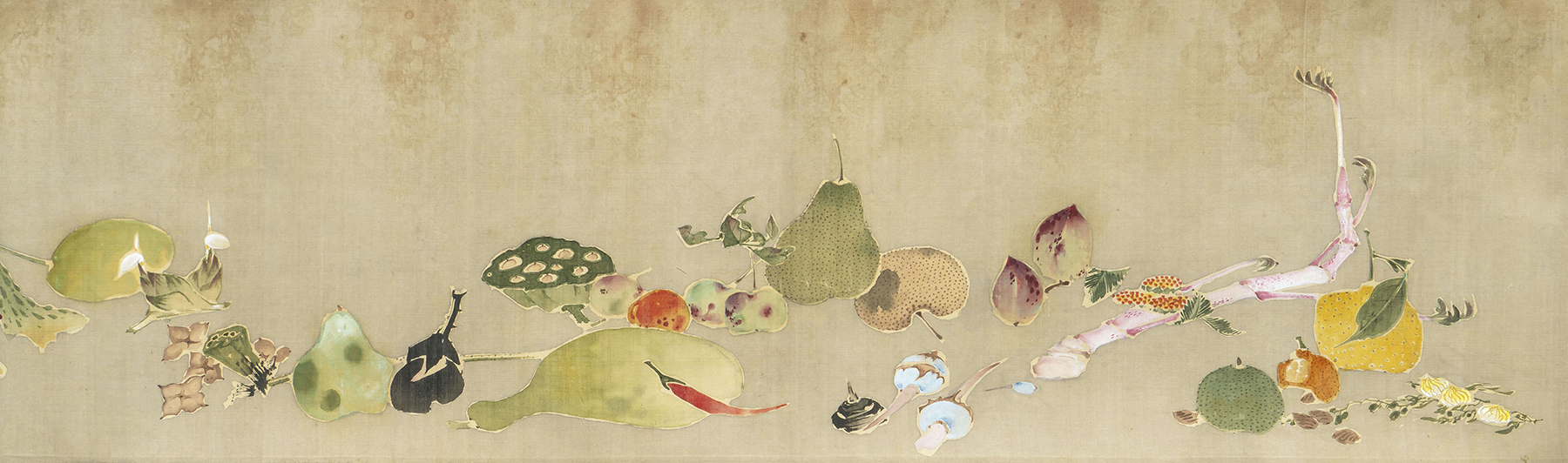 伊藤若冲《果蔬図巻》 画像